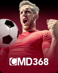 cmd368